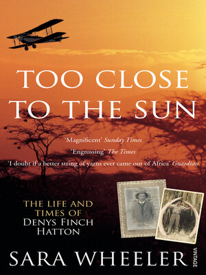 Too Close to the Sun - ebook